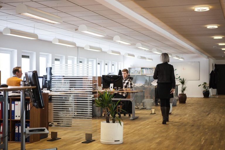 Les trois catégories d&rsquo;entreprises : taille, secteur et statut