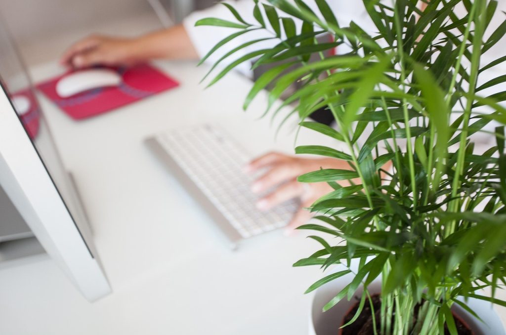 Comment entreprendre quand on n&rsquo;a pas d&rsquo;idée : méthode et conseils